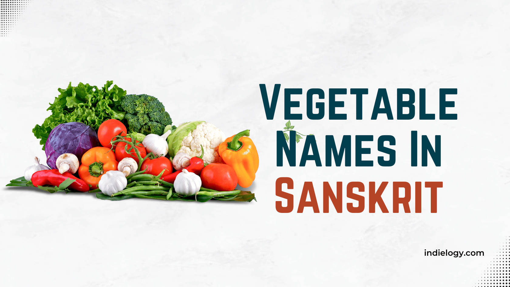 vegetable-names-in-sanskrit-and-why-they-are-named-as-such-indielogy