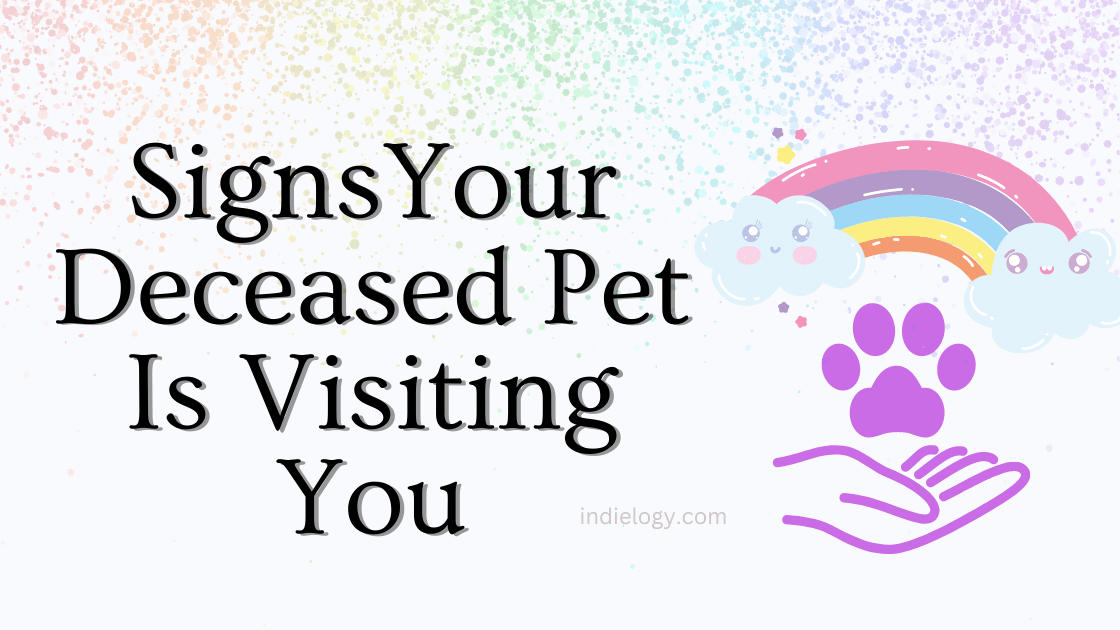 signs your deceased pet is visiting you